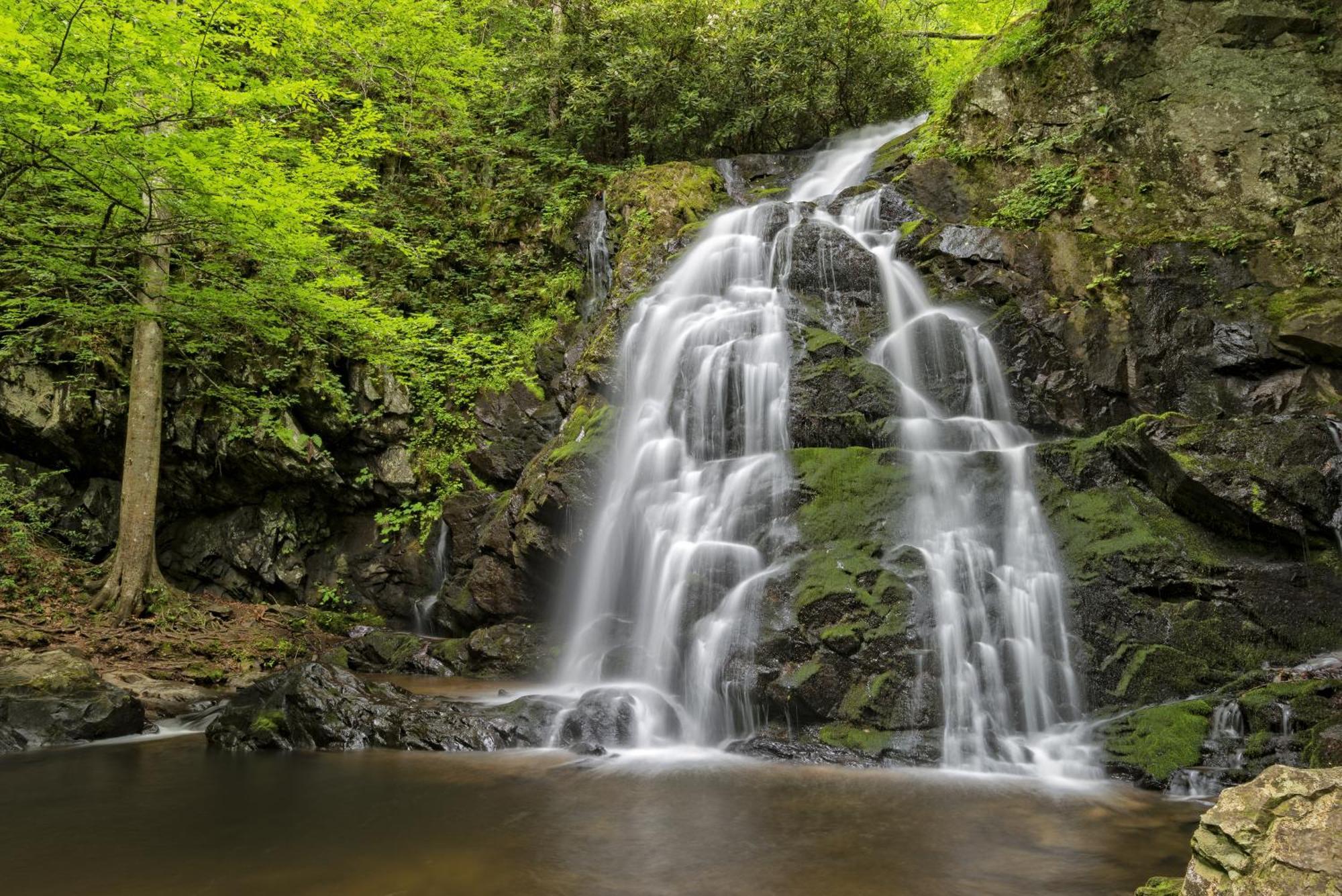 A Million Dollar View- Get 951 Worth Of Free Area Attraction Tickets For Each Paid Day! Villa Gatlinburg Buitenkant foto